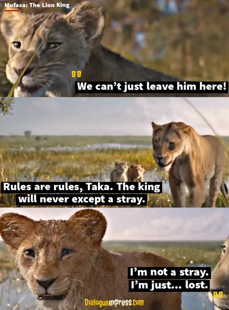 Mufasa: The Lion King Quotes and Dialogues