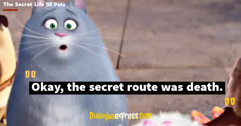 Best Quotes from The Secret Life of Pets Movie