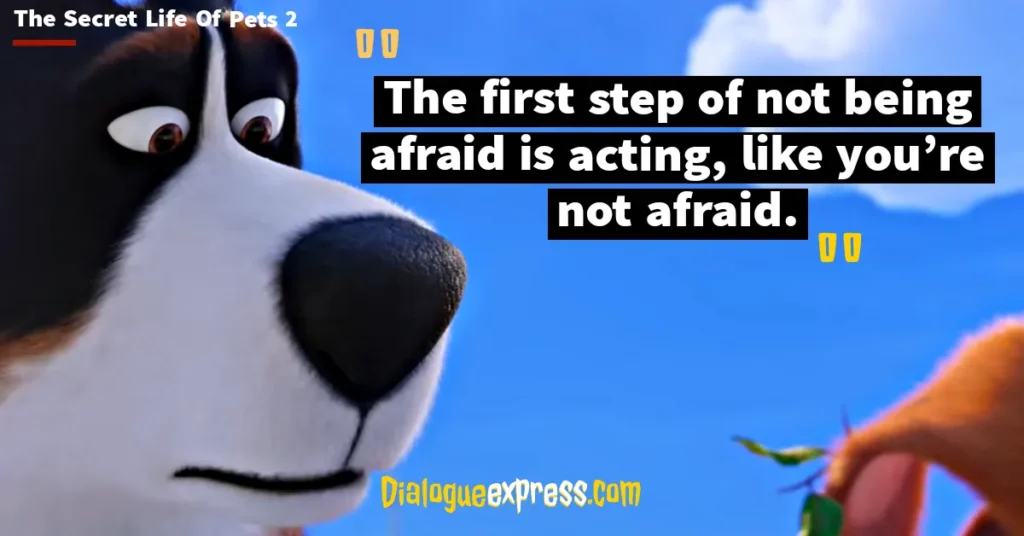 Best Quotes from The Secret Life of Pets Movie