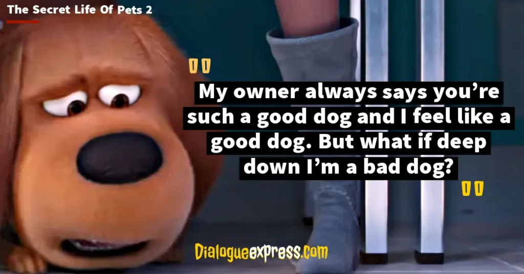 Best Quotes from The Secret Life of Pets Movie