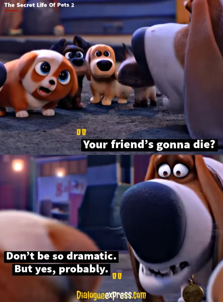 Best Quotes from The Secret Life of Pets Movie