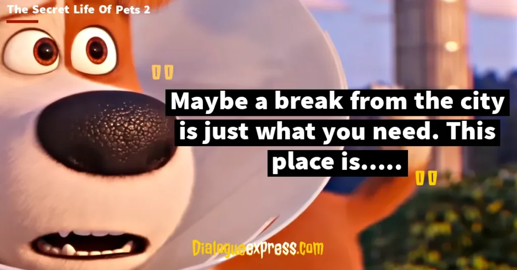 Best Quotes from The Secret Life of Pets Movie