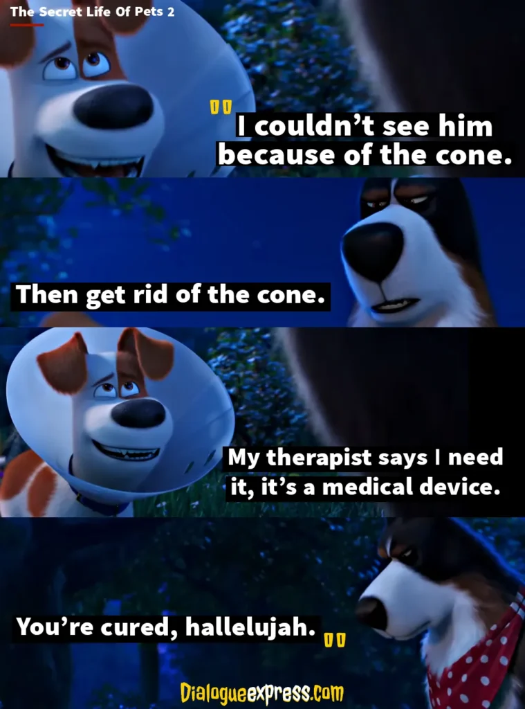 Best Quotes from The Secret Life of Pets Movie