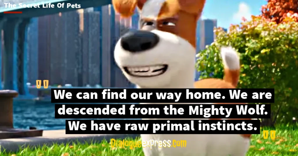 Best Quotes from The Secret Life of Pets Movie