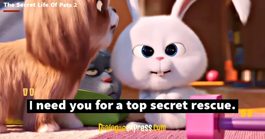 Best Quotes from The Secret Life of Pets Movie