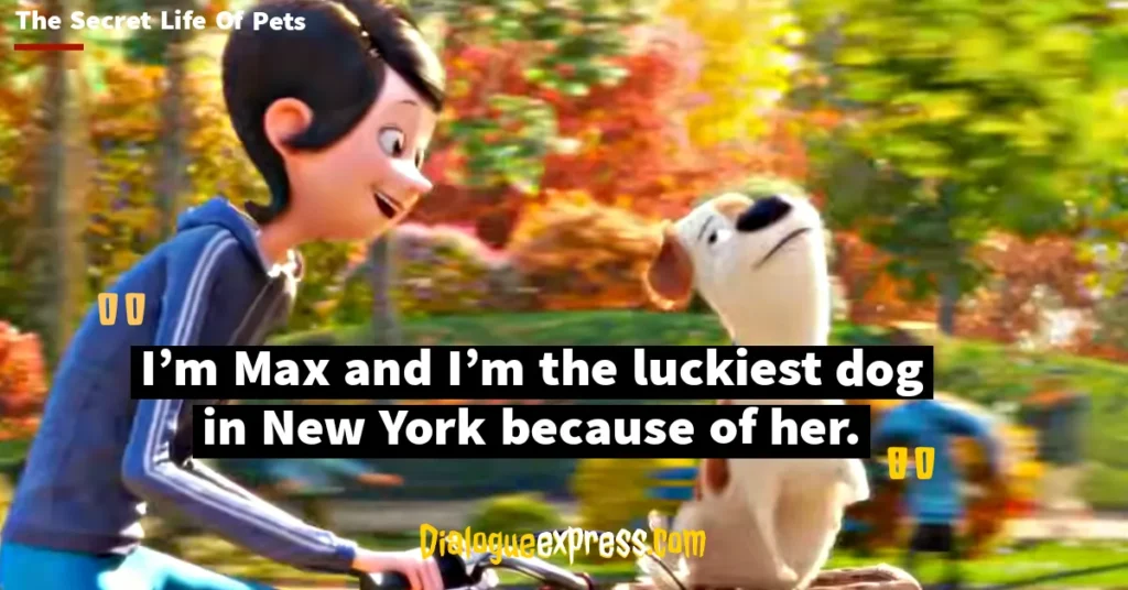 Best Quotes from The Secret Life of Pets Movie