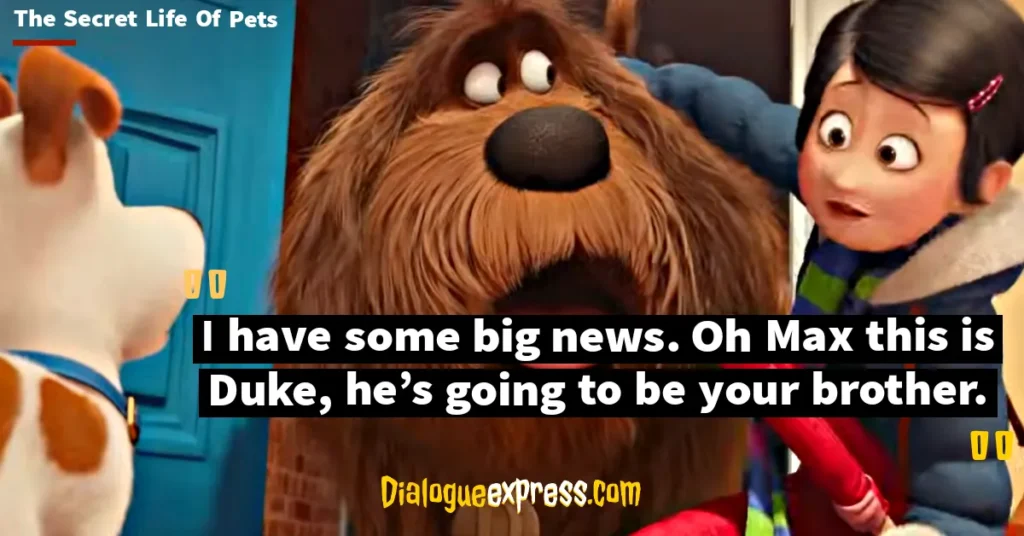 Best Quotes from The Secret Life of Pets Movie