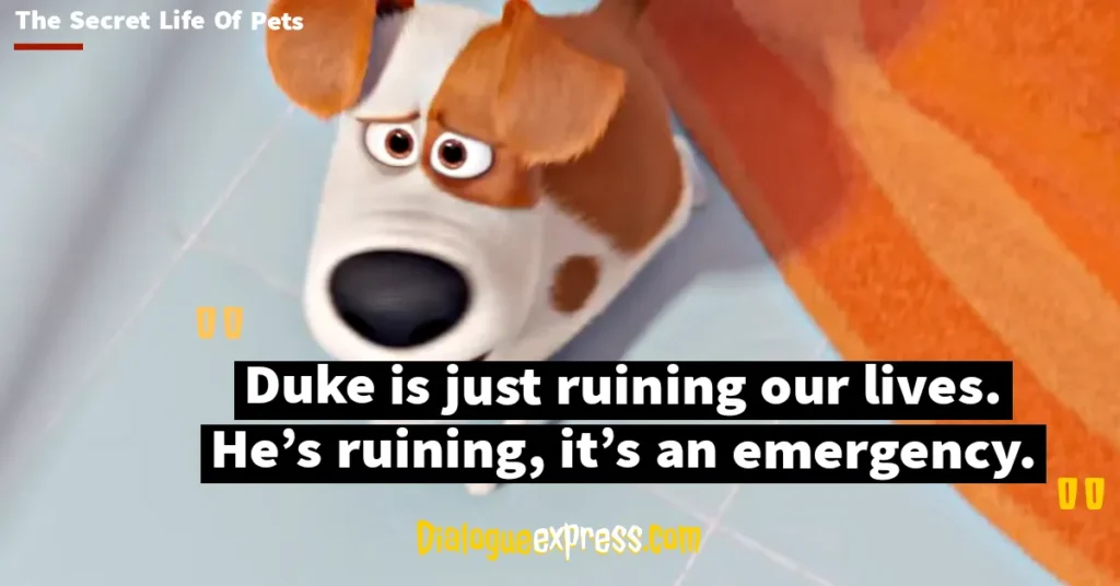 Best Quotes from The Secret Life of Pets Movie