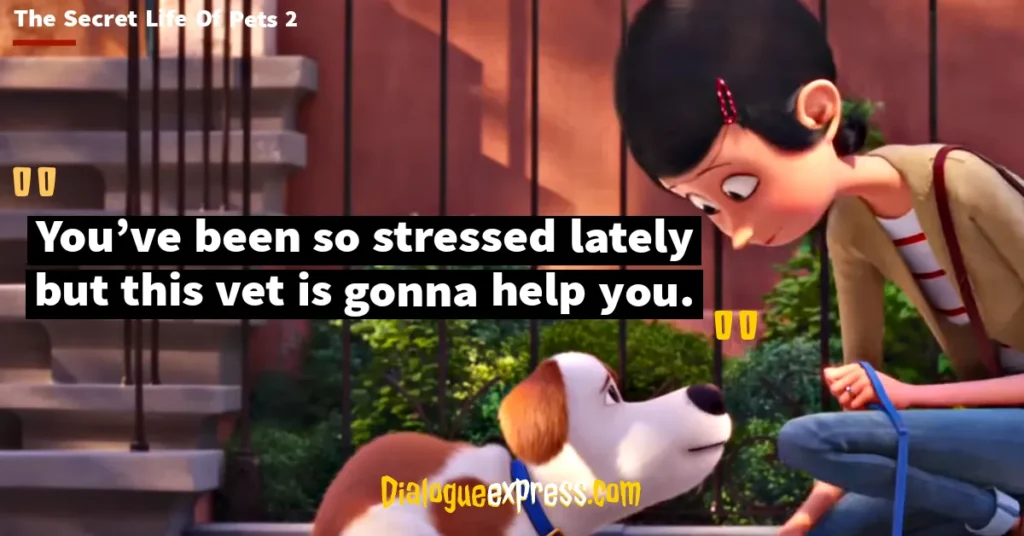 Best Quotes from The Secret Life of Pets Movie