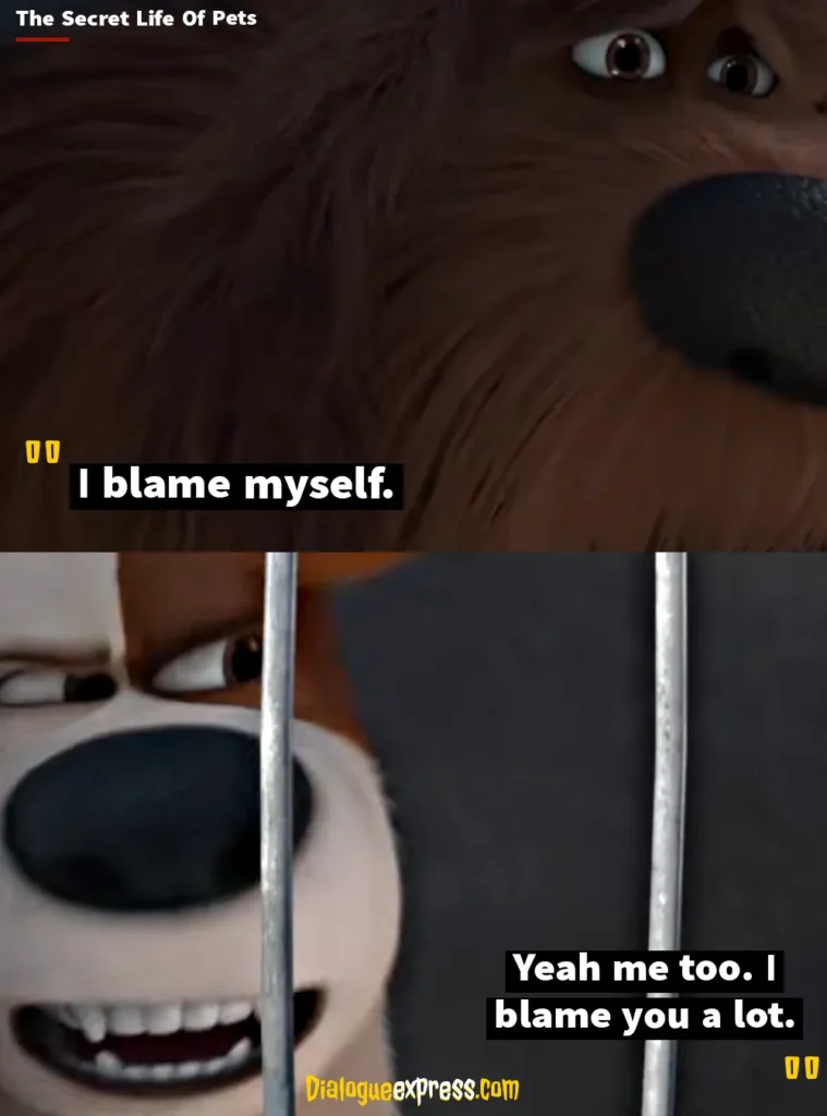 Best Quotes from The Secret Life of Pets Movie