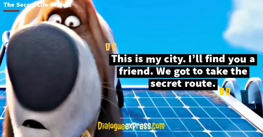 Best Quotes from The Secret Life of Pets Movie