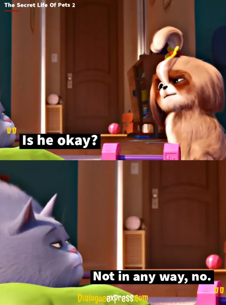 Best Quotes from The Secret Life of Pets Movie