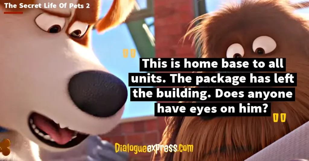 Best Quotes from The Secret Life of Pets Movie