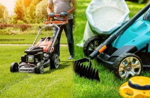 Essential Tips for Lawn Care and Maintenance